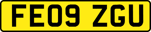 FE09ZGU