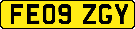 FE09ZGY
