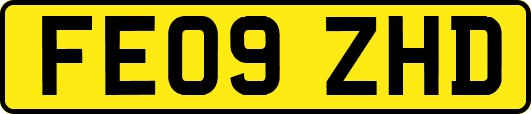 FE09ZHD
