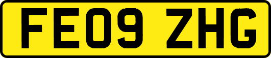 FE09ZHG