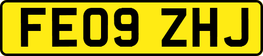 FE09ZHJ