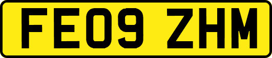 FE09ZHM