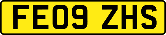 FE09ZHS