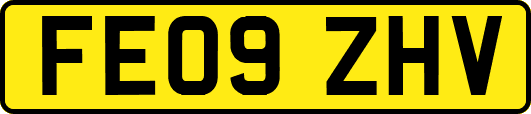FE09ZHV