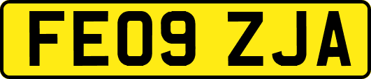 FE09ZJA