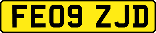 FE09ZJD