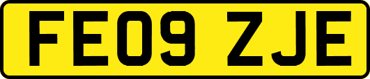 FE09ZJE