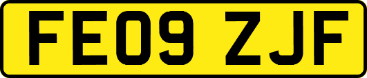 FE09ZJF