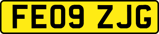 FE09ZJG