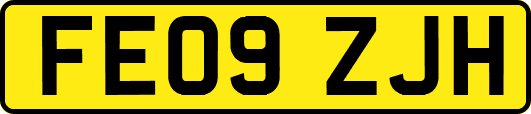 FE09ZJH