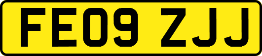 FE09ZJJ