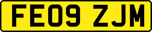 FE09ZJM