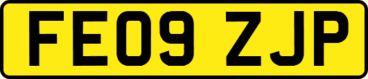 FE09ZJP
