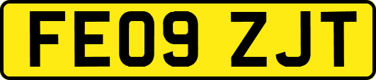 FE09ZJT