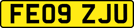FE09ZJU