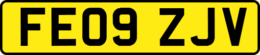 FE09ZJV