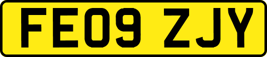 FE09ZJY