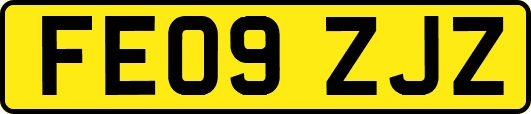 FE09ZJZ