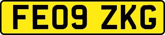 FE09ZKG