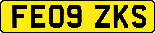 FE09ZKS