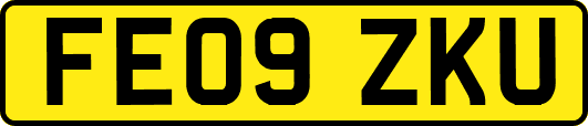 FE09ZKU