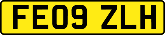 FE09ZLH