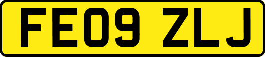 FE09ZLJ