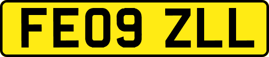 FE09ZLL
