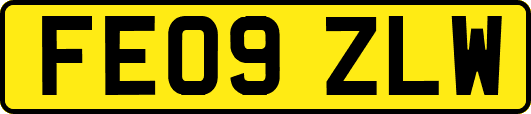 FE09ZLW