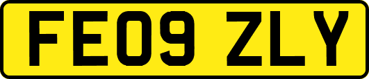 FE09ZLY