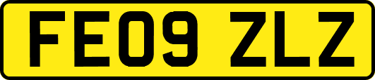 FE09ZLZ