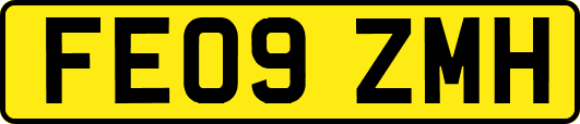 FE09ZMH