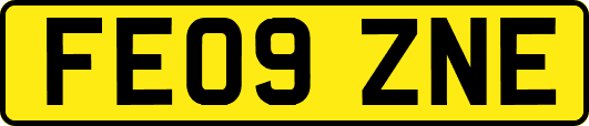 FE09ZNE