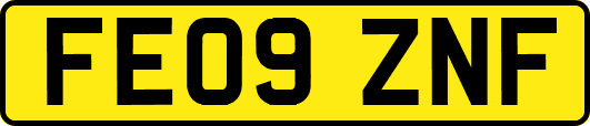 FE09ZNF