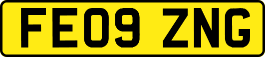 FE09ZNG