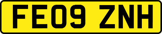 FE09ZNH