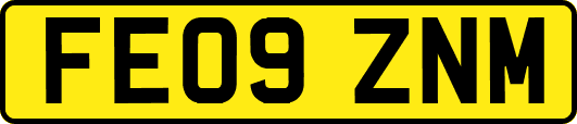 FE09ZNM