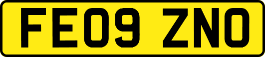 FE09ZNO