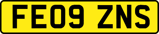 FE09ZNS