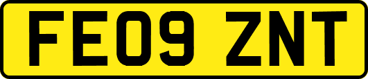 FE09ZNT