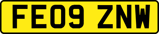 FE09ZNW