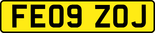 FE09ZOJ
