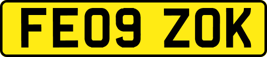 FE09ZOK