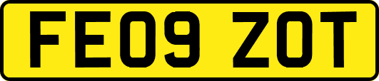FE09ZOT