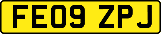 FE09ZPJ