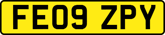 FE09ZPY