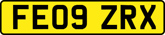 FE09ZRX