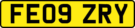FE09ZRY