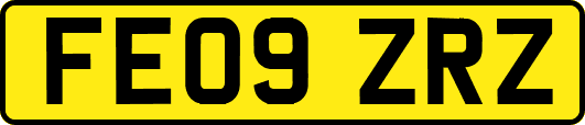 FE09ZRZ