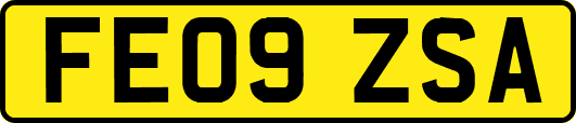 FE09ZSA